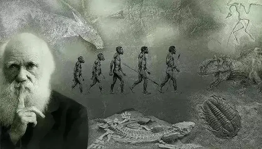 人类与动物实操ppt看视频_神创论与外星人创造论对比_人类起源进化论科普